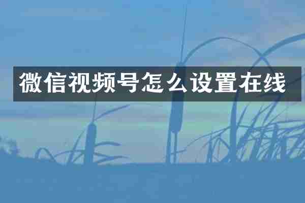微信视频号怎么设置在线