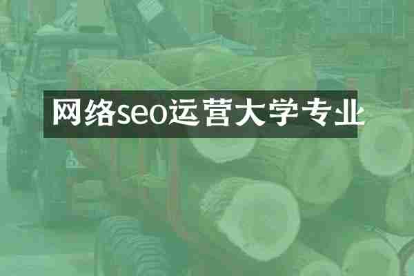网络seo运营大学专业