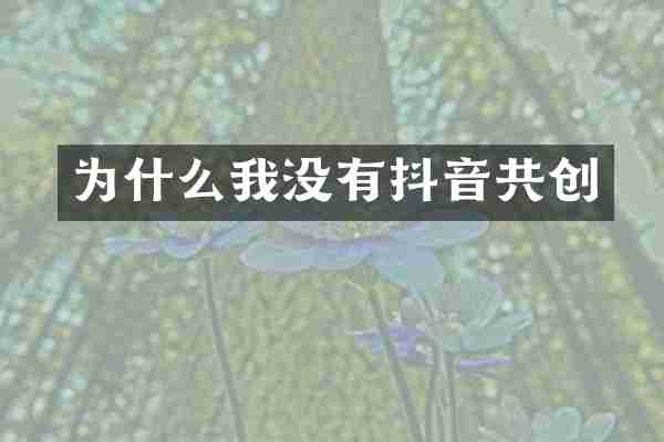 为什么我没有抖音共创
