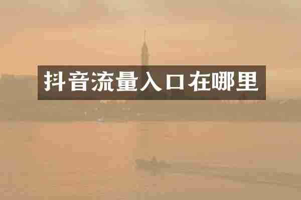 抖音流量入口在哪里