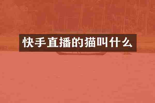 快手直播的猫叫什么