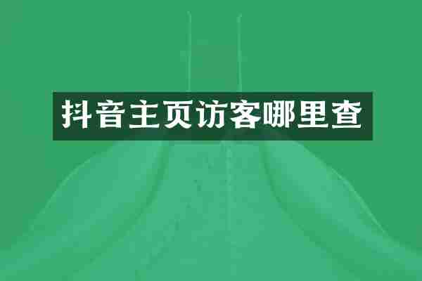 抖音主页访客哪里查