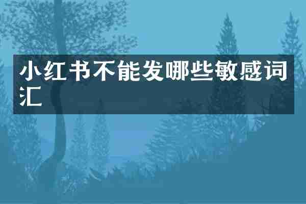 小红书不能发哪些敏感词汇