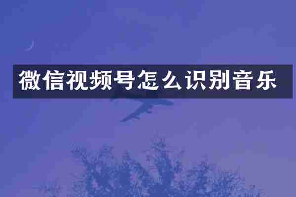 微信视频号怎么识别音乐