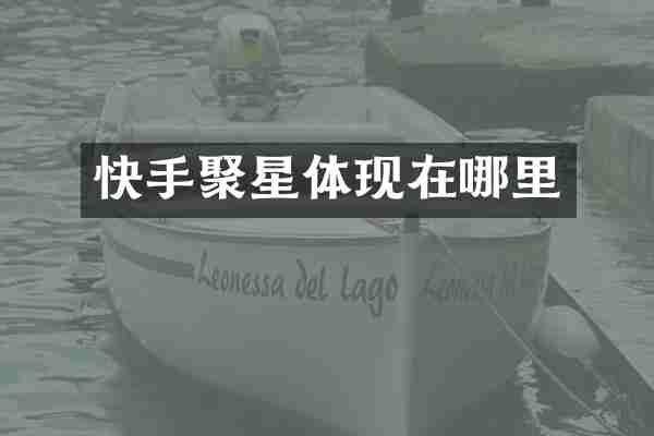 快手聚星体现在哪里