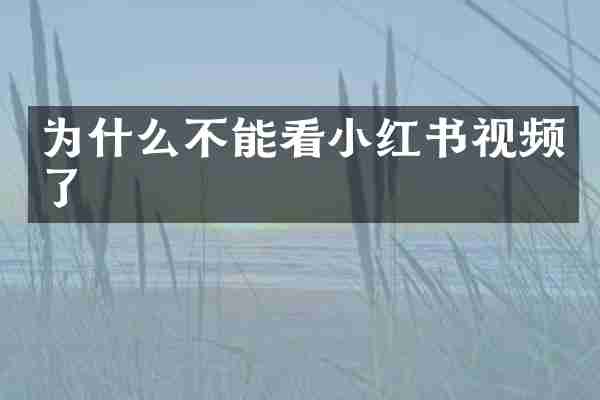 为什么不能看小红书视频了