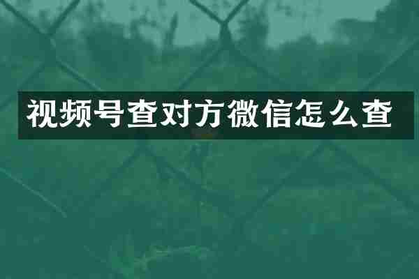 视频号查对方微信怎么查