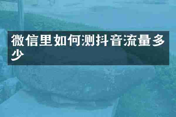 微信里如何测抖音流量多少