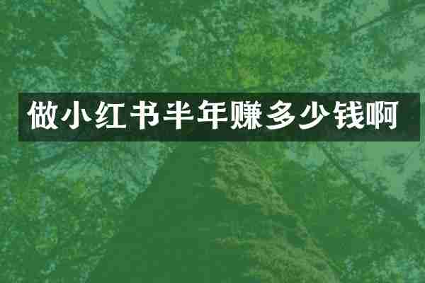 做小红书半年赚多少钱啊