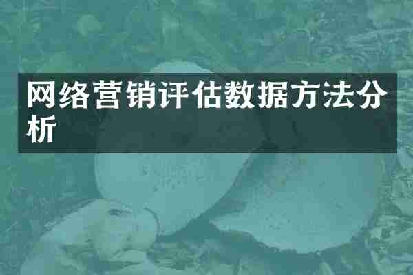 网络营销评估数据方法分析