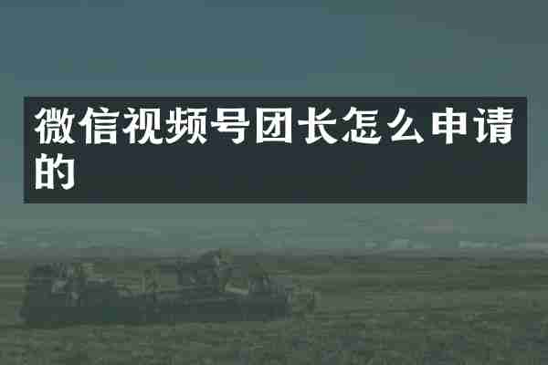 微信视频号团长怎么申请的