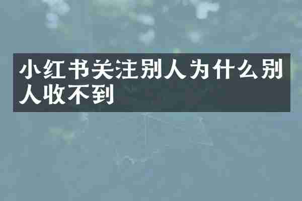 小红书关注别人为什么别人收不到