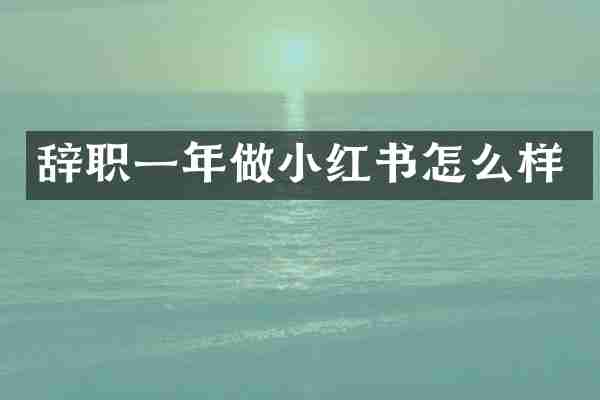 辞职一年做小红书怎么样
