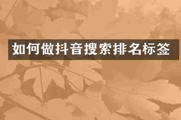 如何做抖音搜索排名标签