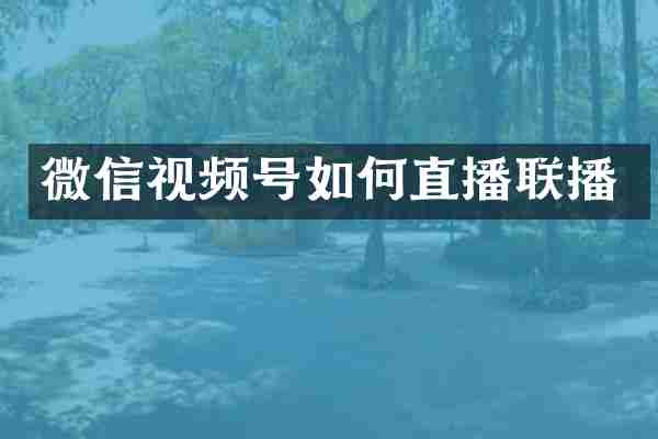 微信视频号如何直播联播
