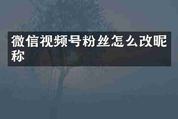微信视频号粉丝怎么改昵称