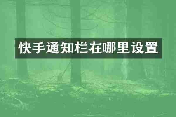 快手通知栏在哪里设置