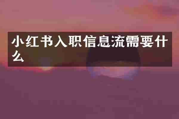 小红书入职信息流需要什么