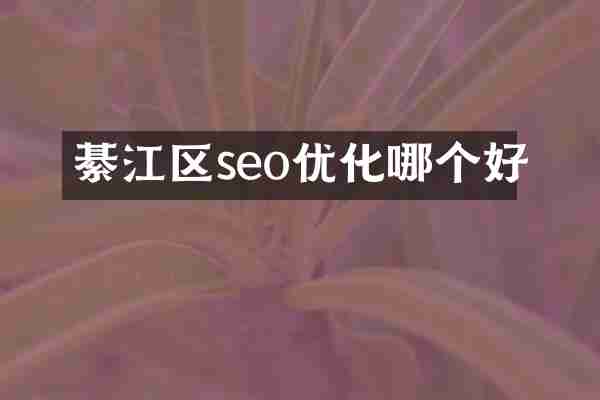 綦江区seo优化哪个好
