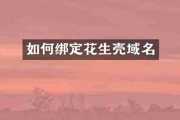 如何绑定花生壳域名