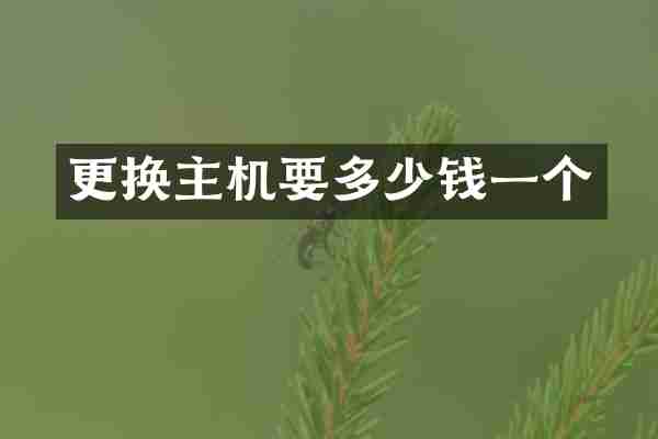 更换主机要多少钱一个