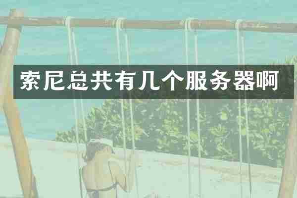 索尼总共有几个服务器啊