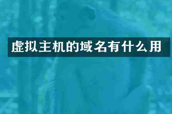 虚拟主机的域名有什么用