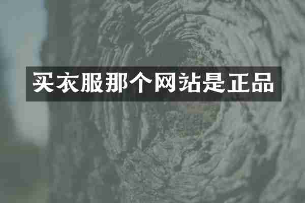 买衣服那个网站是正品