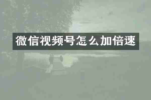 微信视频号怎么加倍速