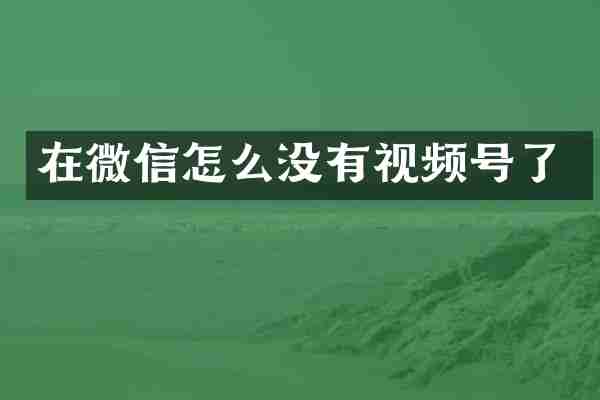 在微信怎么没有视频号了