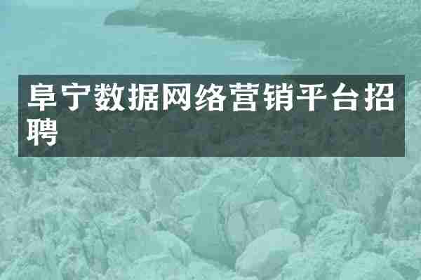 阜宁数据网络营销平台招聘