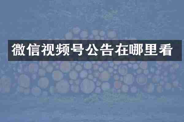 微信视频号公告在哪里看