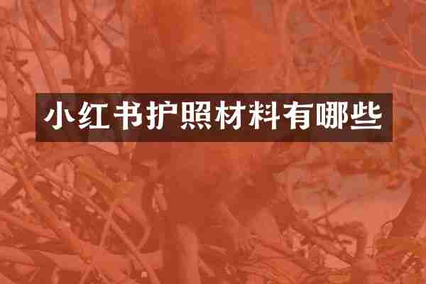 小红书护照材料有哪些