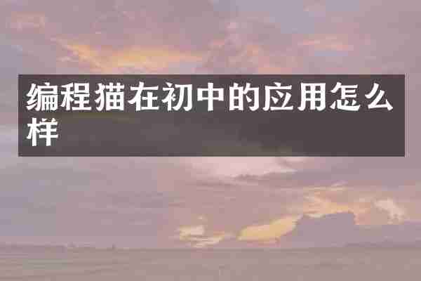 编程猫在初中的应用怎么样