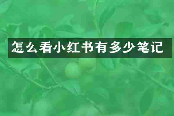 怎么看小红书有多少笔记