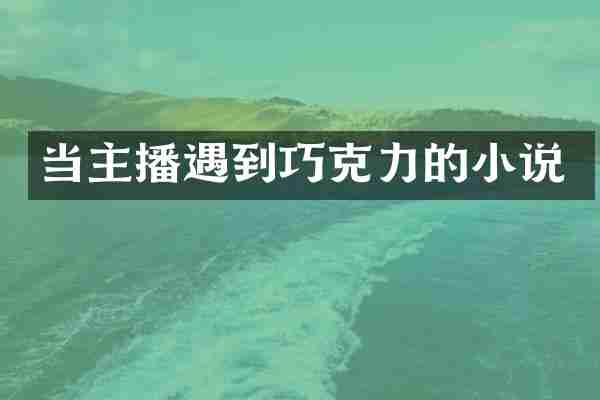 当主播遇到巧克力的小说