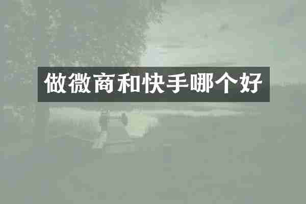 做微商和快手哪个好