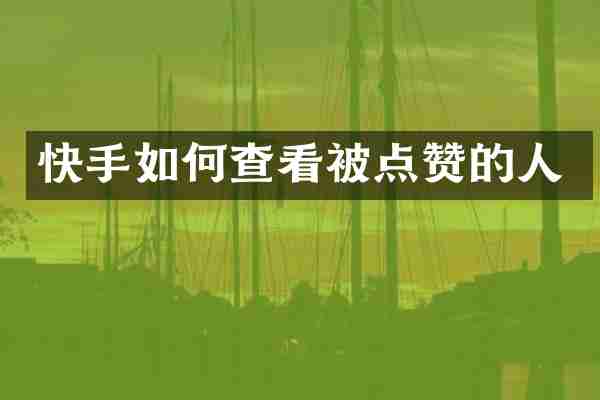 快手如何查看被点赞的人