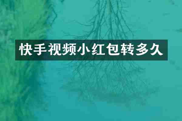 快手视频小红包转多久