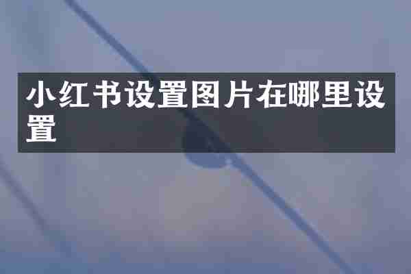小红书设置图片在哪里设置