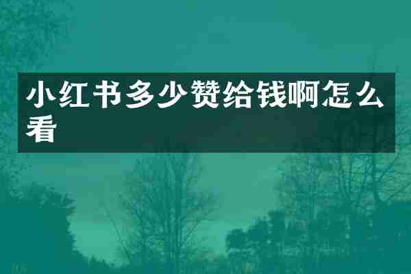 小红书多少赞给钱啊怎么看