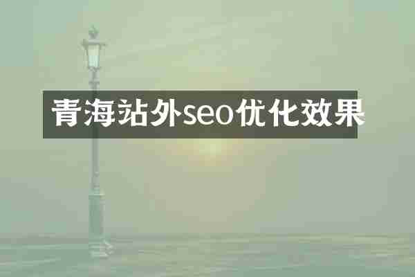 青海站外seo优化效果