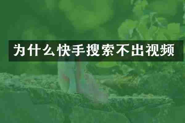 为什么快手搜索不出视频
