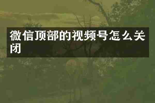 微信顶部的视频号怎么关闭