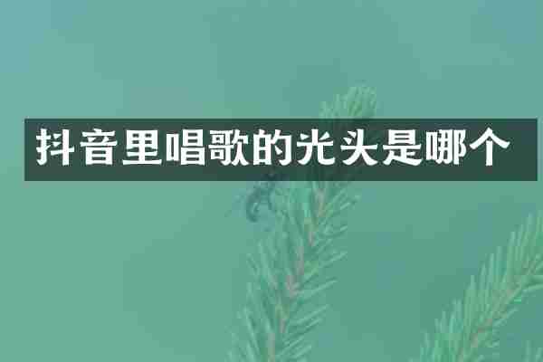 抖音里唱歌的光头是哪个