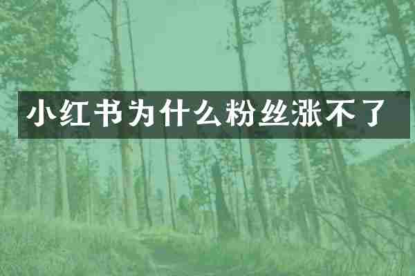 小红书为什么粉丝涨不了