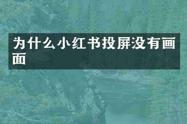 为什么小红书投屏没有画面