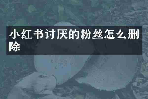 小红书讨厌的粉丝怎么删除