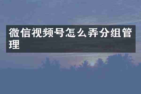 微信视频号怎么弄分组管理
