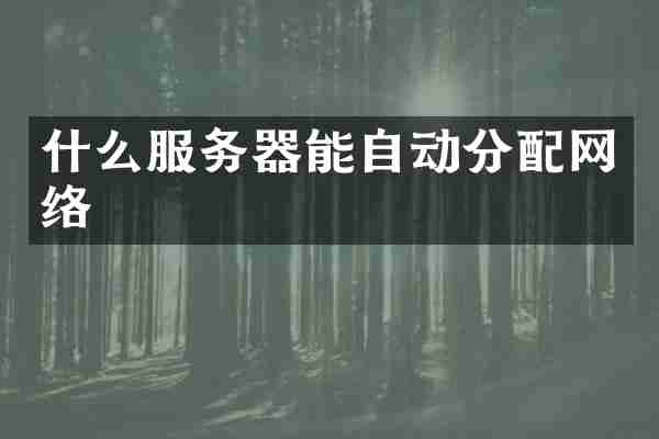 什么服务器能自动分配网络